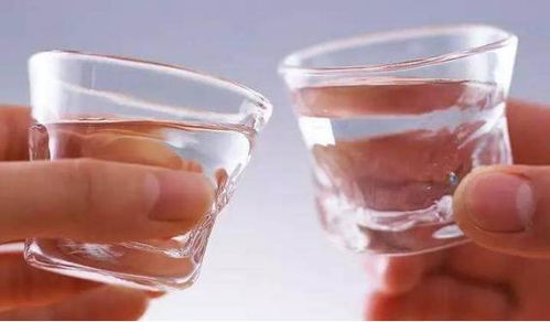 工程院院士揭秘 這些酒精飲料對健康最有益，其他酒不可比擬